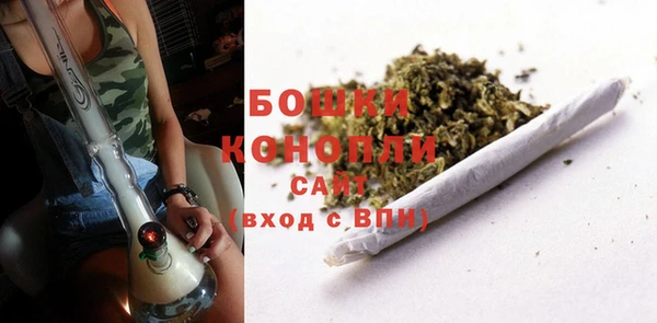 винт Мегион