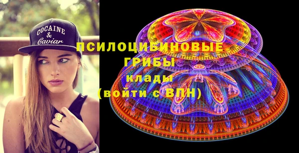 винт Мегион