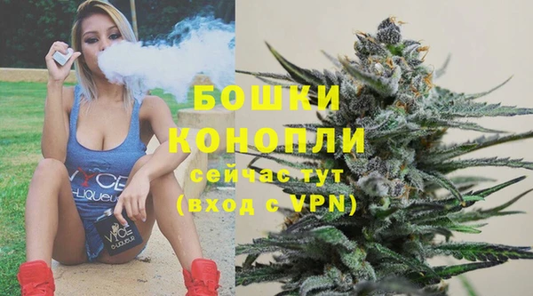 винт Мегион