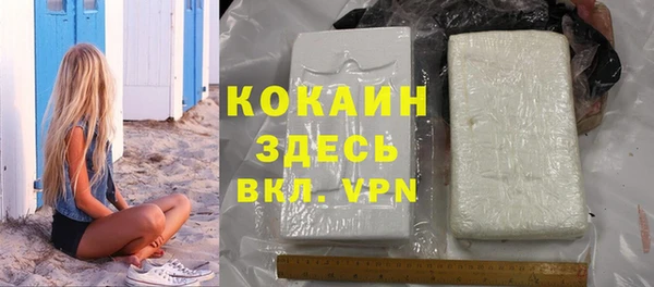винт Мегион