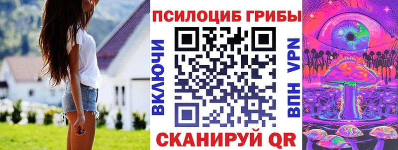 Псилоцибиновые грибы прущие грибы  купить наркоту  Новотитаровская 